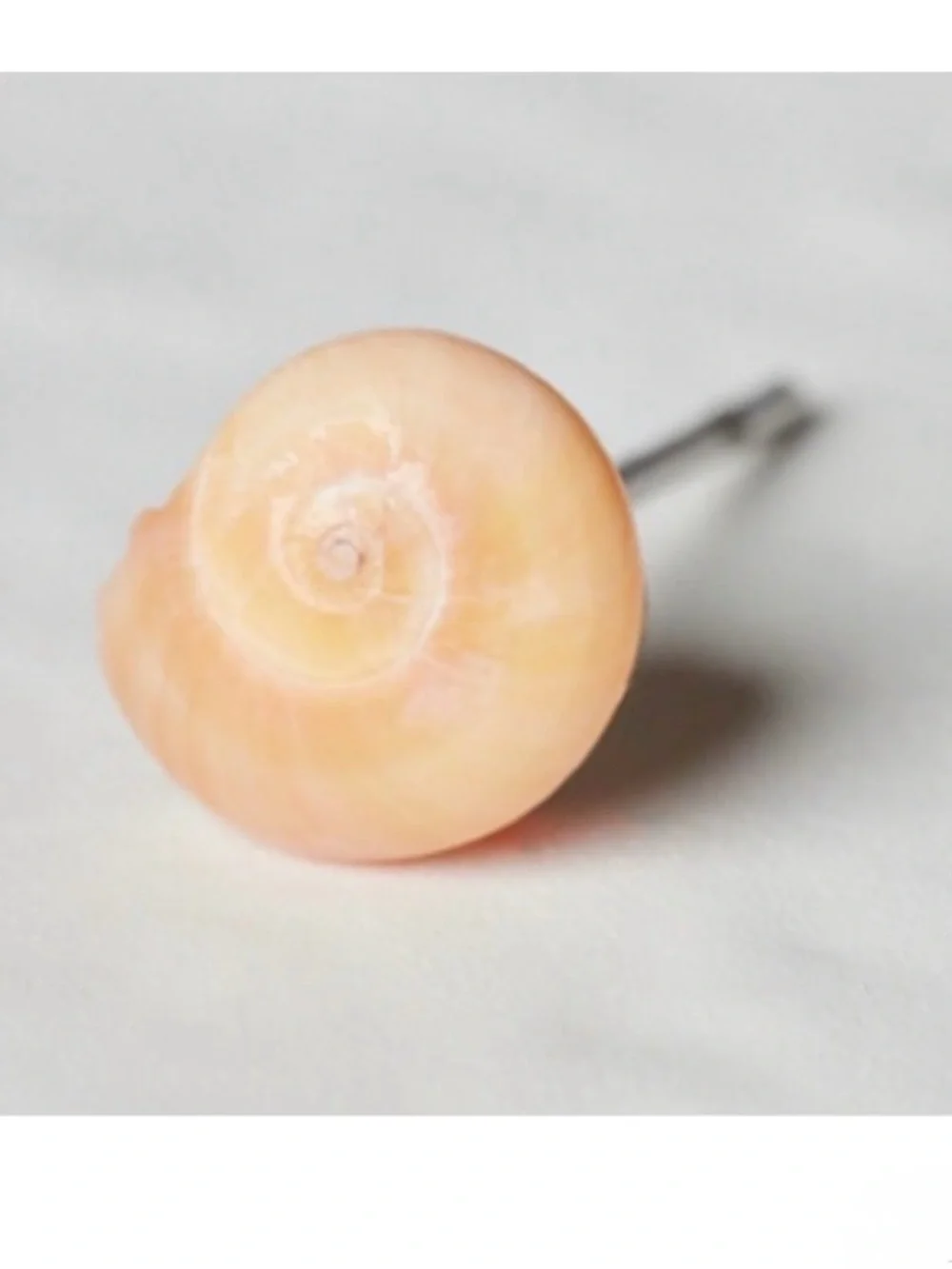 HP! Free People shell earrings. Brand new!